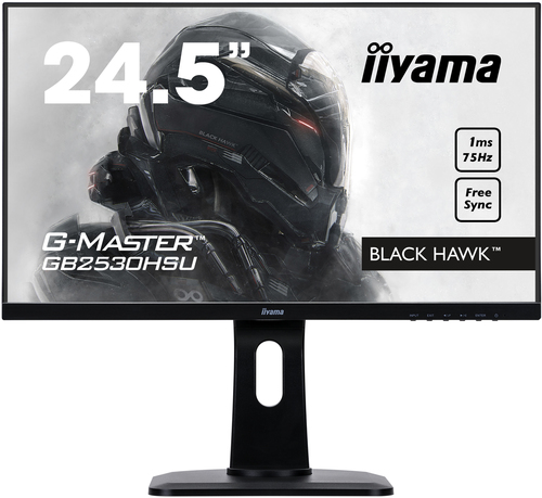 iiyama GB2530HSU-B1 C