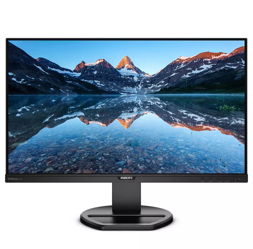Philips 252B9
