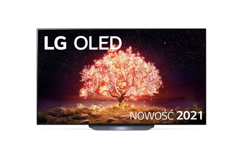LG OLED65B13LA